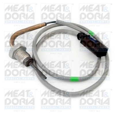 Sensor, exhaust gas temperature
